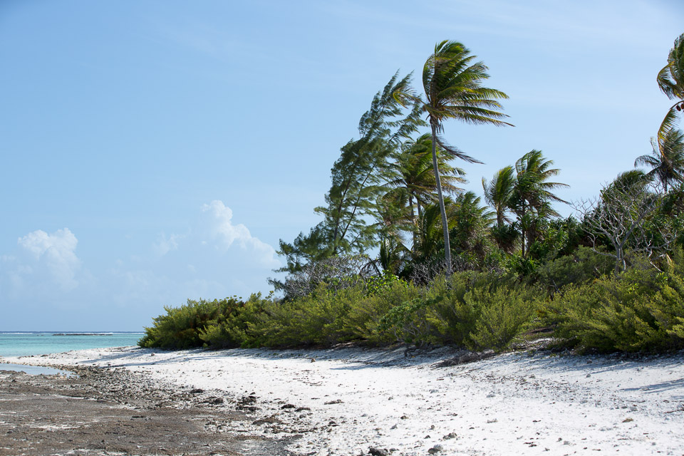 3L9A6778.jpg Iles sous le vent - Maupiti - Copyright : See Otherwise 2012 - 2025